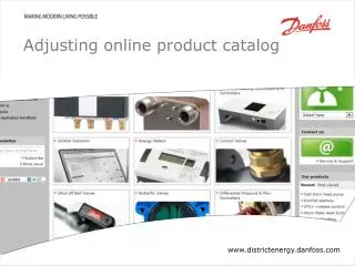 Adjusting online product catalog