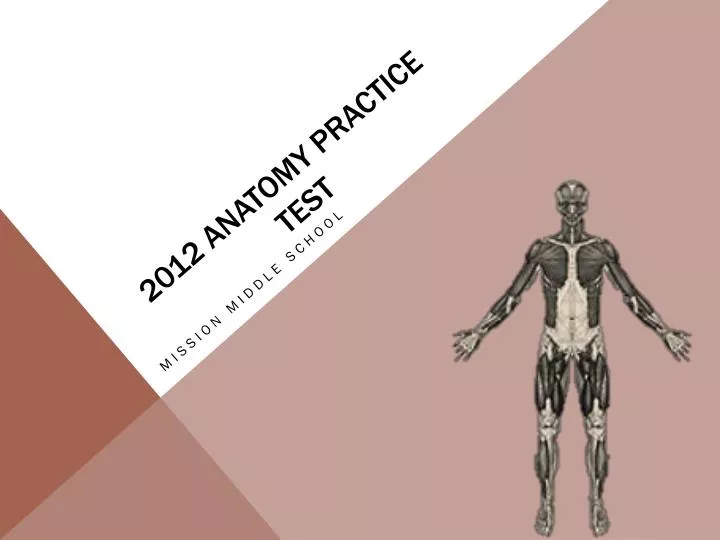 2012 anatomy practice test