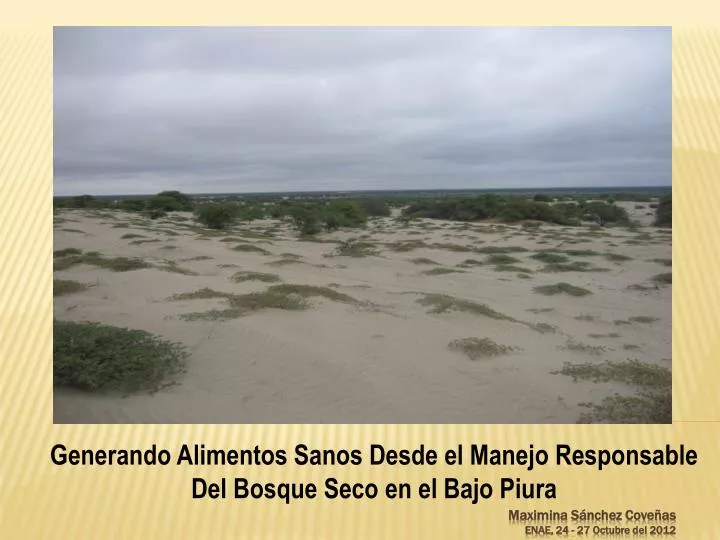 generando alimentos sanos desde el manejo responsable del bosque seco en el bajo piura