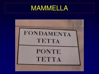 mammella