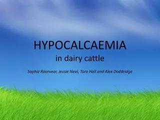 HYPOCALCAEMIA in dairy cattle