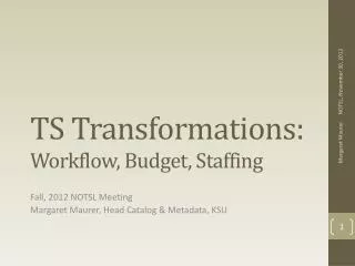 TS Transformations: Workflow, Budget, Staffing