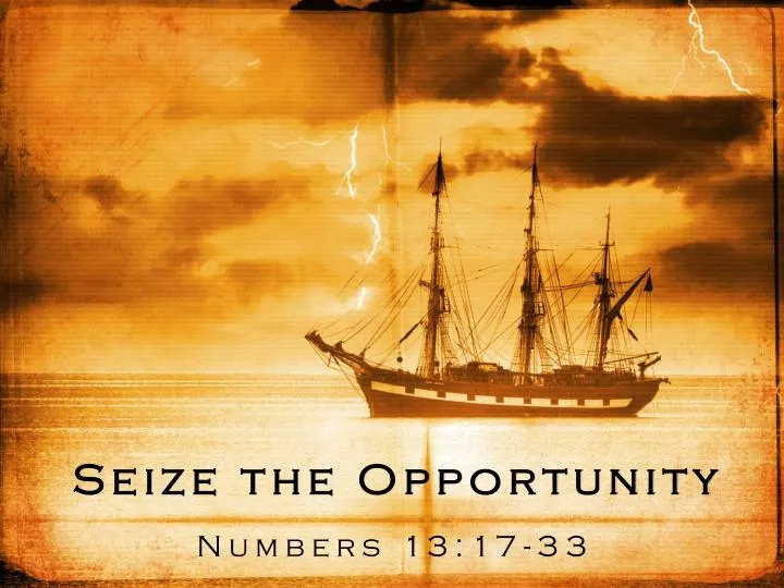 seize the opportunity