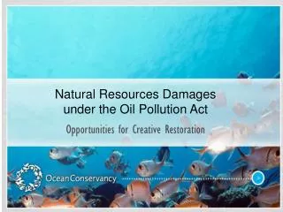 Natural Resources Damages under the Oil Pollution Act