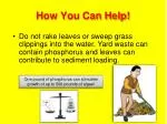 Eco-Friendly Tips to Protect Water Quality - slide 1