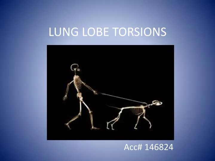 lung lobe torsions