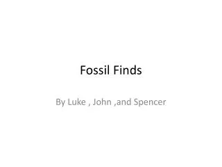 Fossil Finds