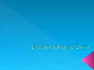 Life in Mohenjo-Daro