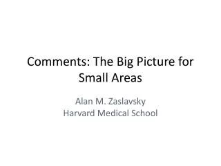 Comments: The Big Picture for Small Areas