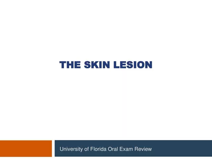 the skin lesion