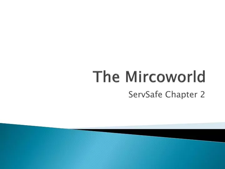 the mircoworld