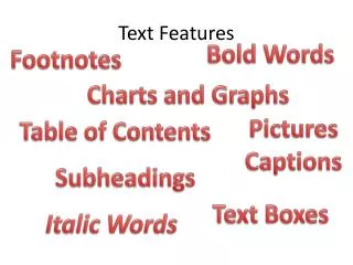 Text Features