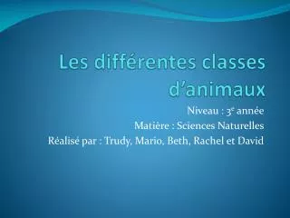 les diff rentes classes d animaux