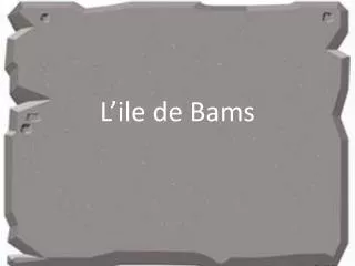 l ile de bams