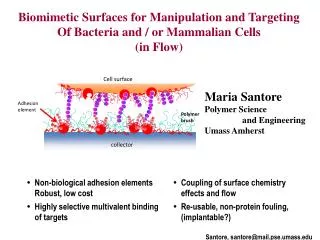 Biomimetic Surfaces for Manipulation and Targeting Of Bacteria and / or Mammalian Cells
