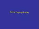 DNA fingerprinting - slide 1