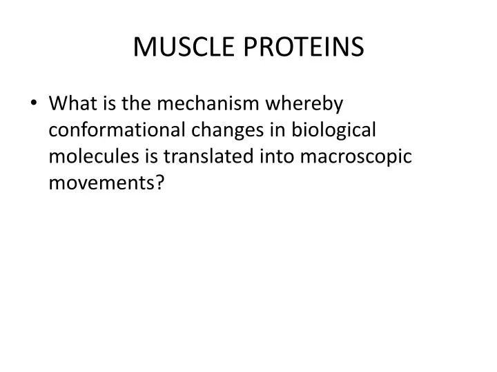 muscle proteins