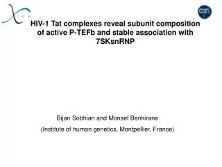 Bijan Sobhian and Monsef Benkirane (Institute of human genetics, Montpellier, France)