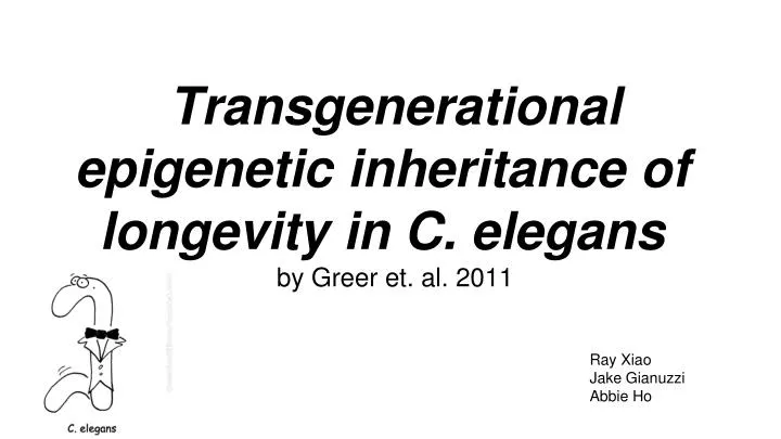 transgenerational epigenetic inheritance of longevity in c elegans by greer et al 2011