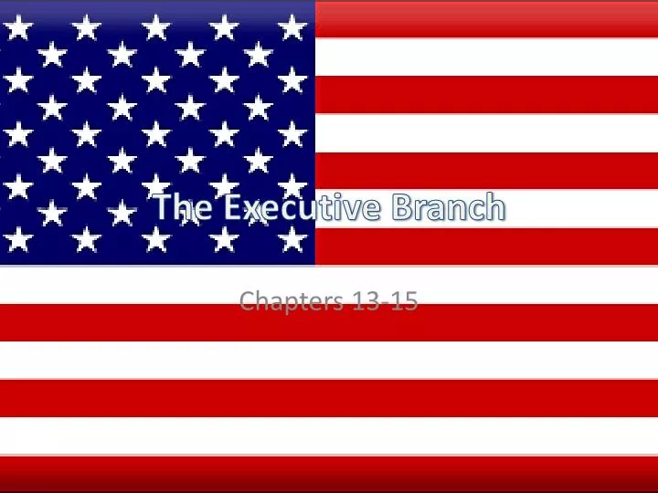 the executive branch