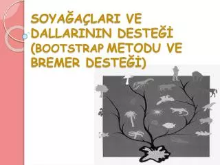 soya a lari ve dallarinin deste bootstrap metodu ve bremer deste