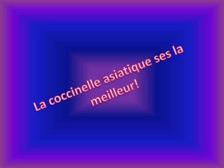 la coccinelle asiatique ses la meilleur