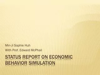 Status Report on Economic Behavior Simulation