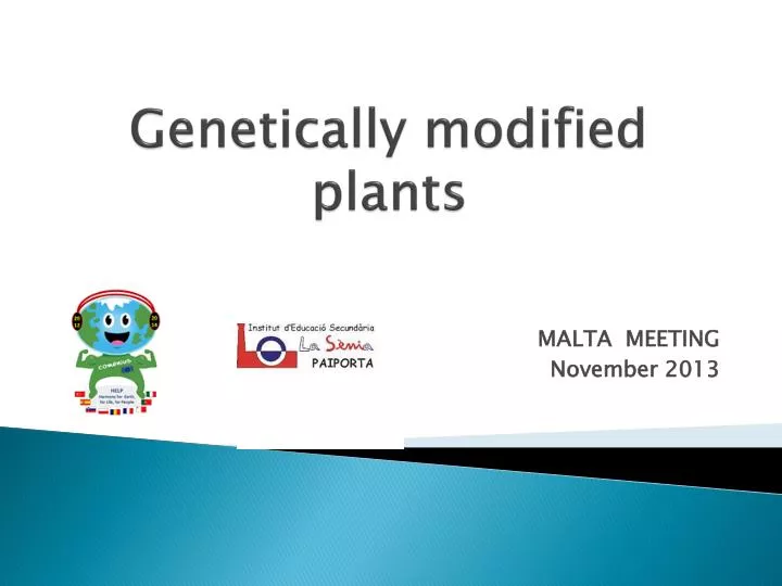 genetically modified plants