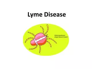 Lyme Disease