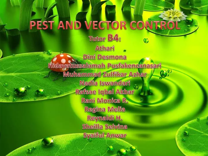 pest and vector control