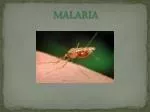 M alaria - slide 1