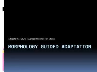 Morphology Guided Adaptation