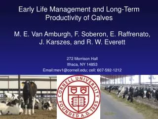 Early Life Management and Long-Ter m Productivity of Calves