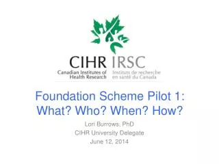 Foundation Scheme Pilot 1: What? Who? When? How?