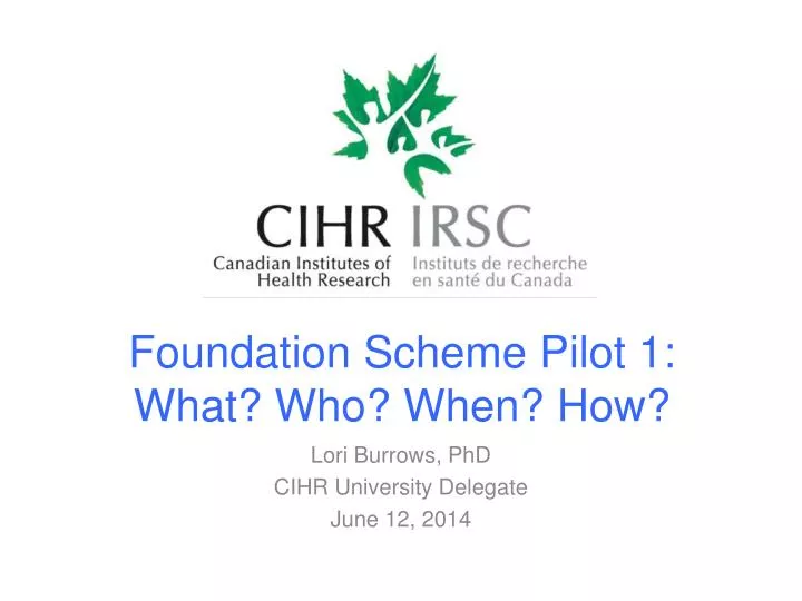 foundation scheme pilot 1 what who when how