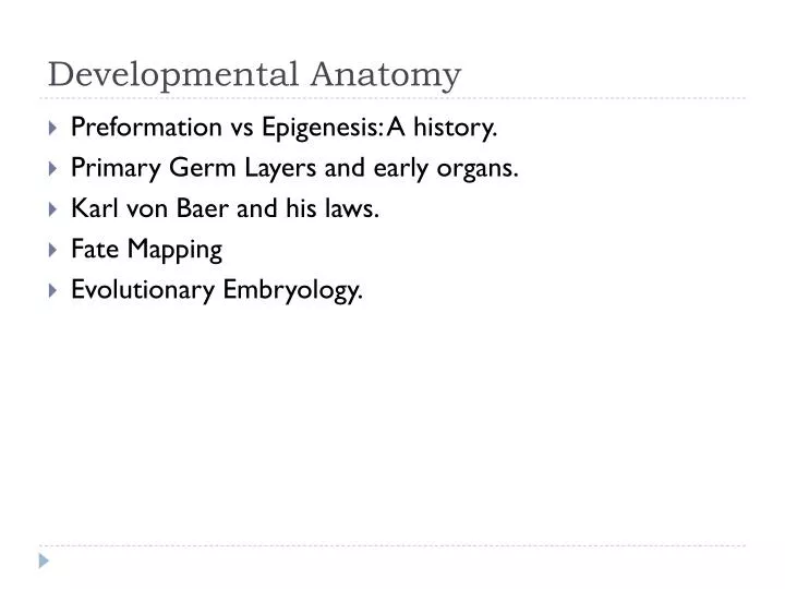 developmental anatomy