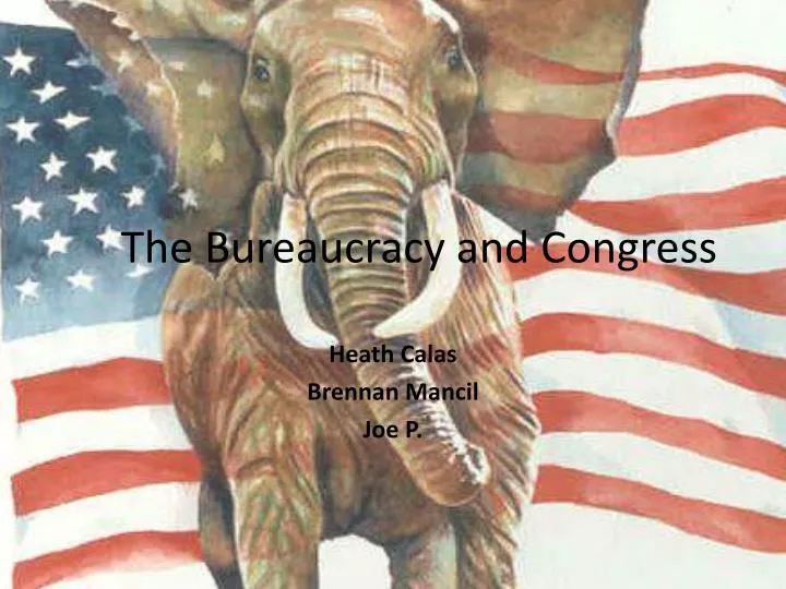 the bureaucracy and congress
