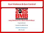 Gun Violence &amp; Gun Control - slide 1