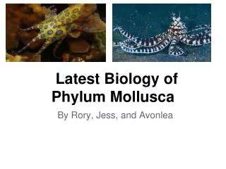 Latest Biology of Phylum Mollusca