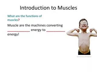 Muscle are the machines converting ____________ energy to __________ energy!