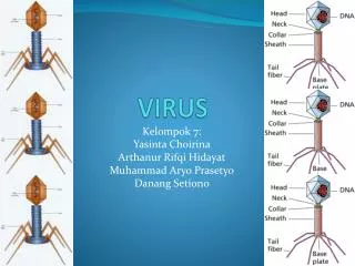 virus