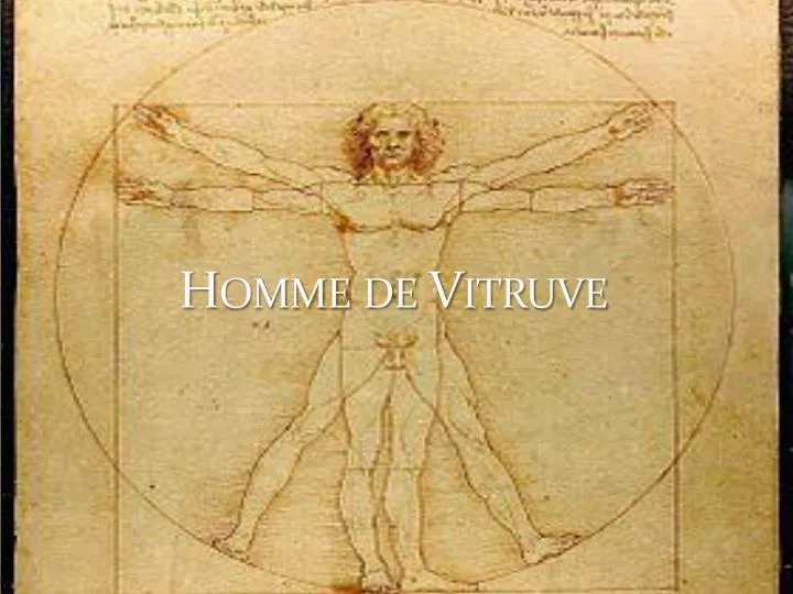 homme de vitruve