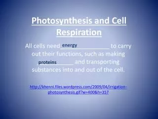 Photosynthesis and Cell Respiration