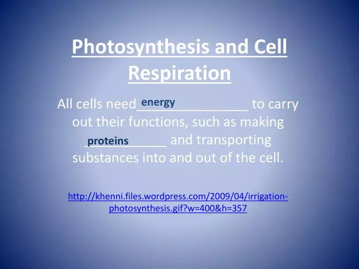 photosynthesis and cell respiration