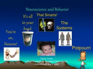 Neuroscience and Behavior