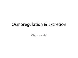 Osmoregulation &amp; Excretion