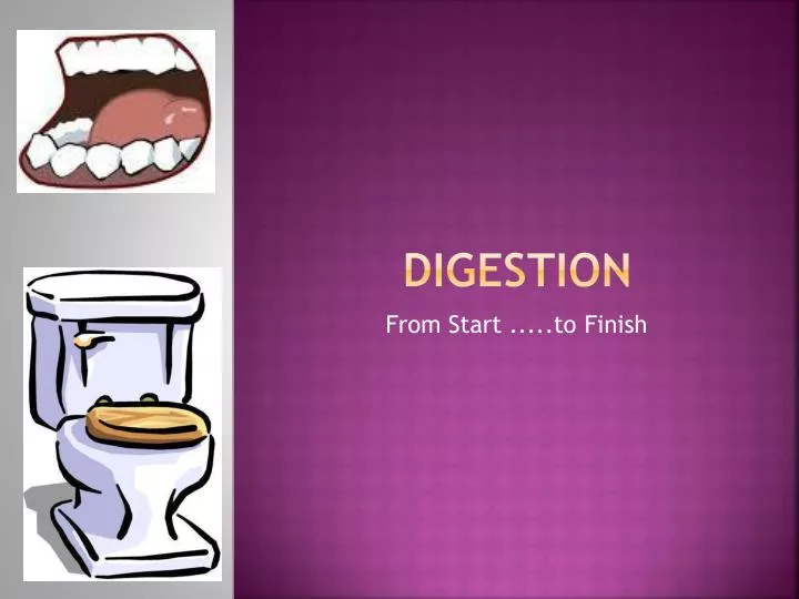 digestion