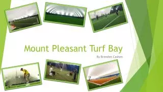 Mount Pleasant Turf Bay