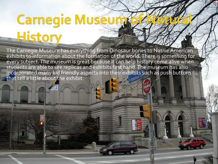 carnegie museum of natural history