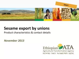 Sesame export by unions Product characteristics &amp; contact details